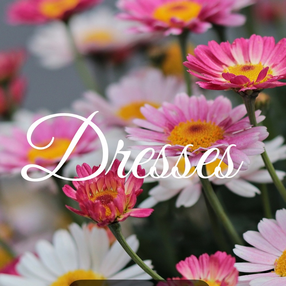 Section: Dresses